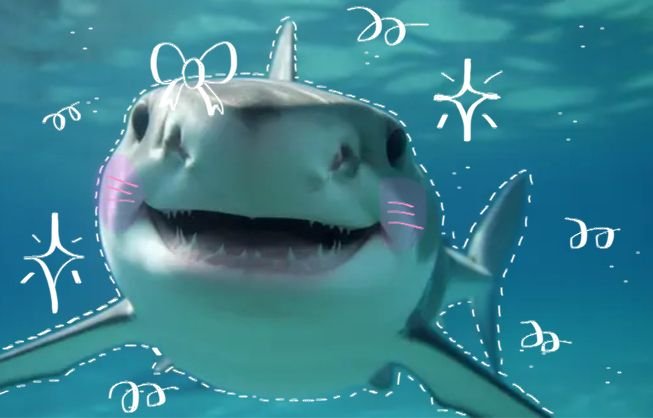 Shark PFP Cool