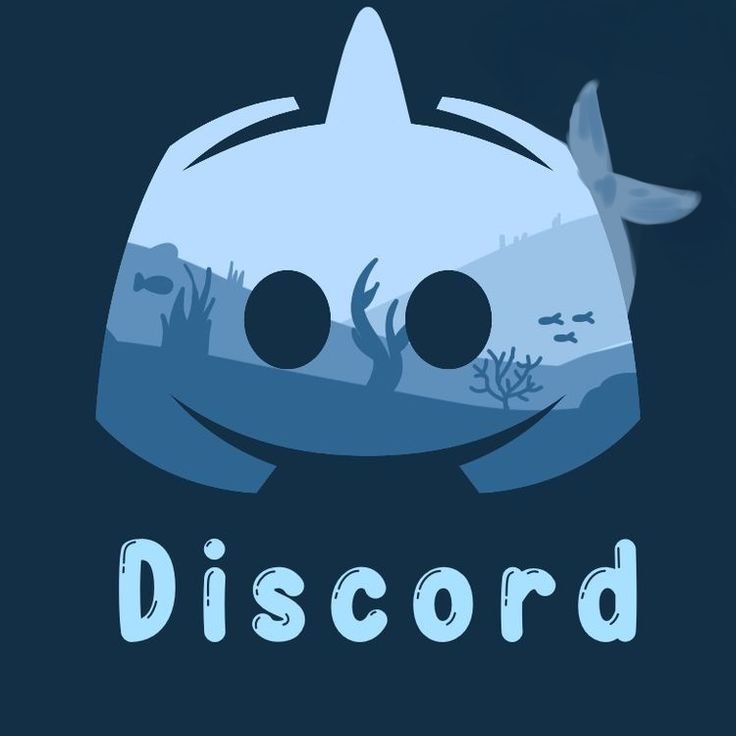 Shark PFP Discord