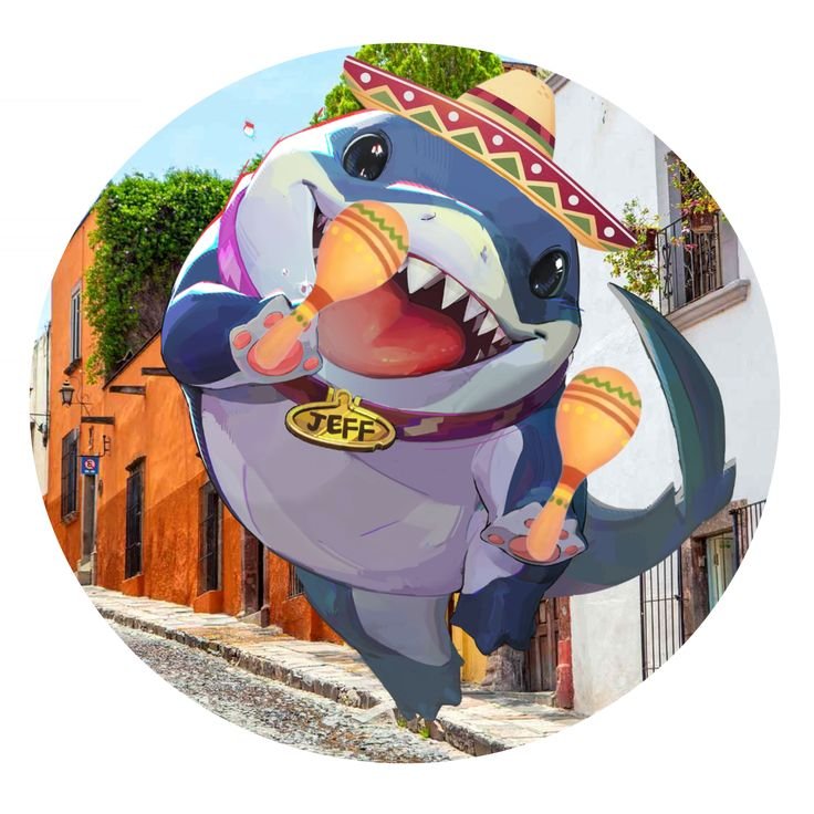 Shark PFP Funny