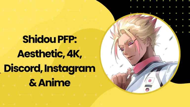 Shidou PFP