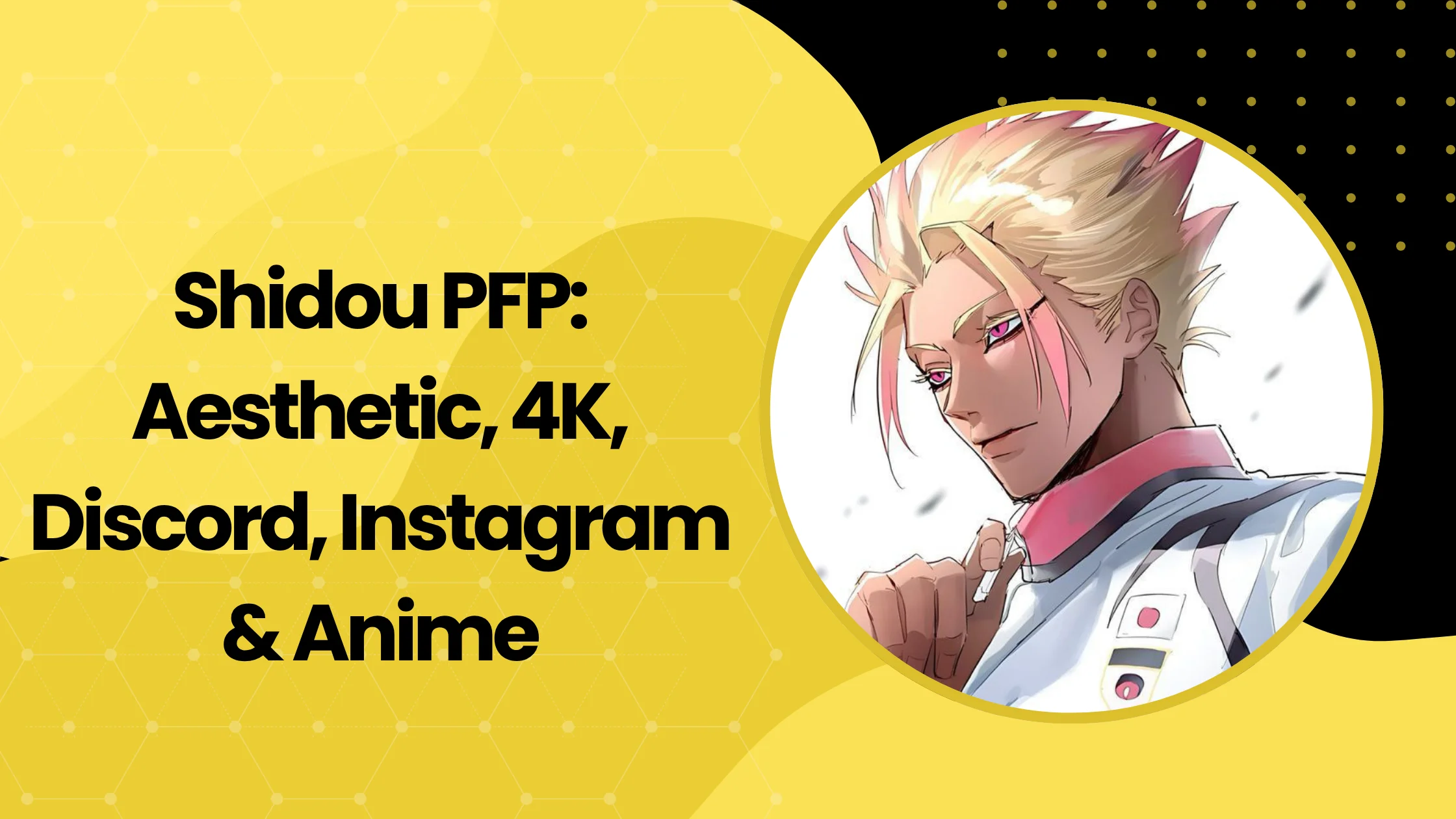 Shidou PFP