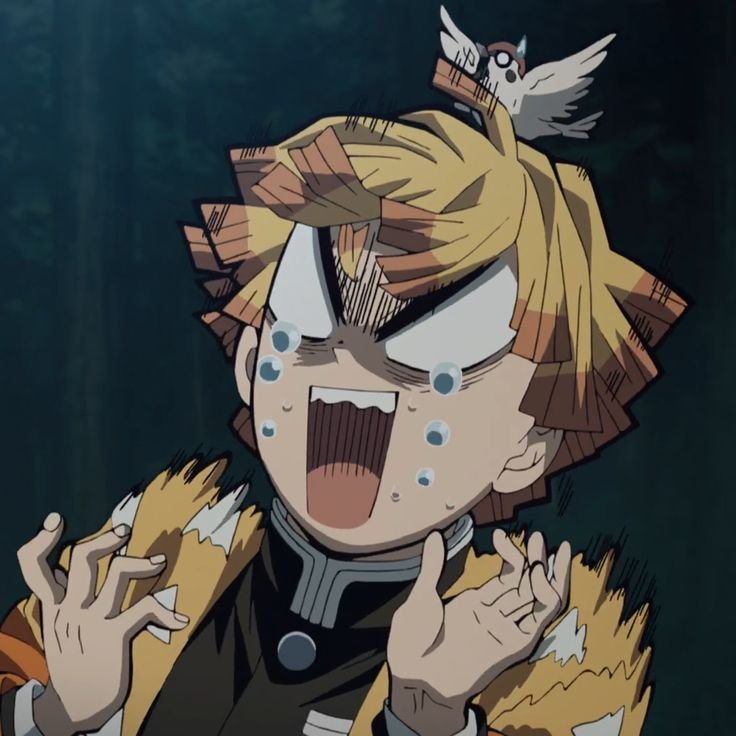 Zenitsu PFP Funny