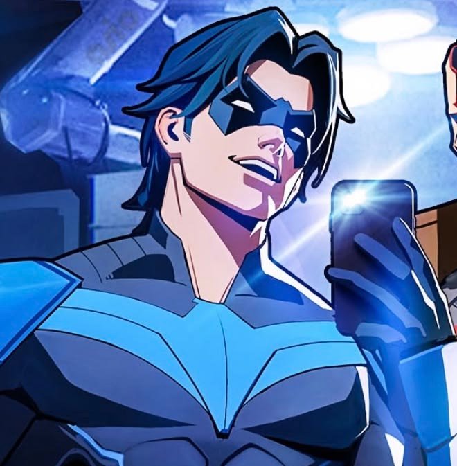 Nightwing PFP Anime