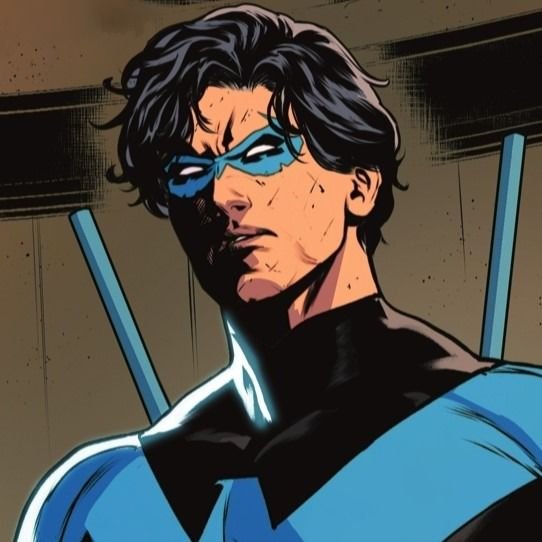 Nightwing PFP Boy