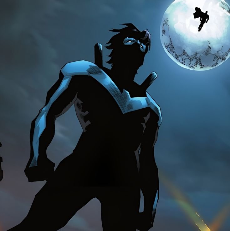 Nightwing PFP Dark