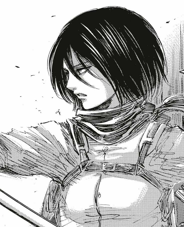 AOT PFP Manga