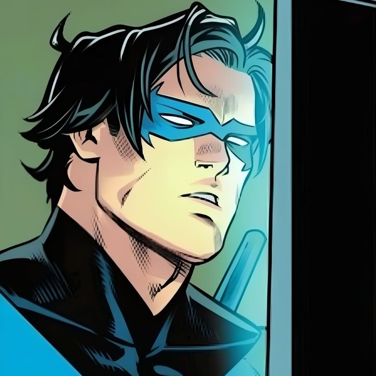 Nightwing PFP Boy