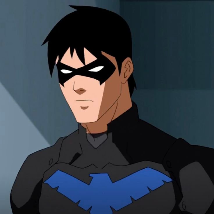 Nightwing PFP HD