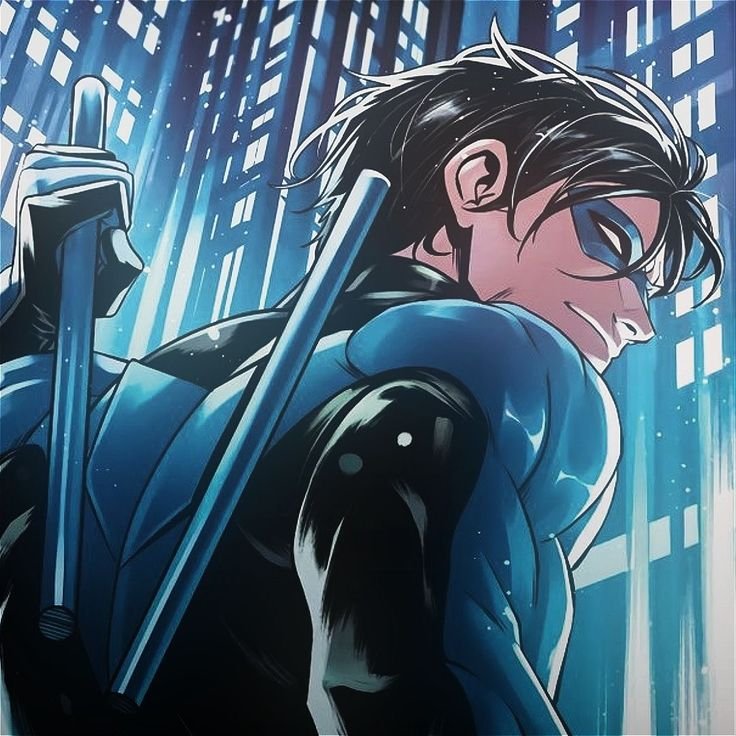 Nightwing PFP Aesthetic