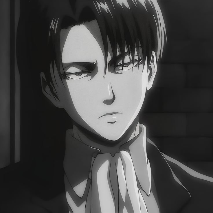 AOT PFP Black And White