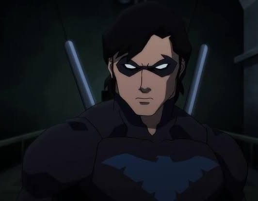 Nightwing PFP Icon