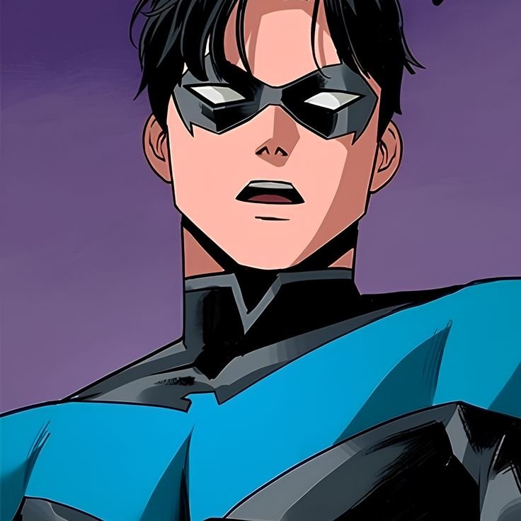 Nightwing PFP Cool