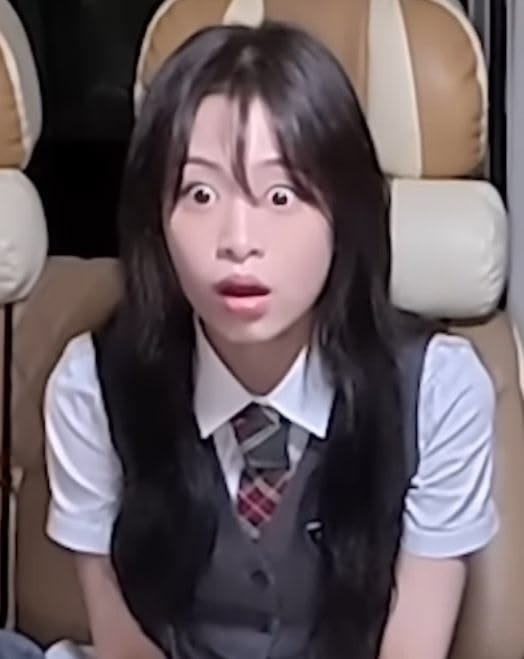 Kpop PFP Meme